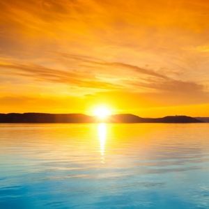 Meet your Posher, Latasha